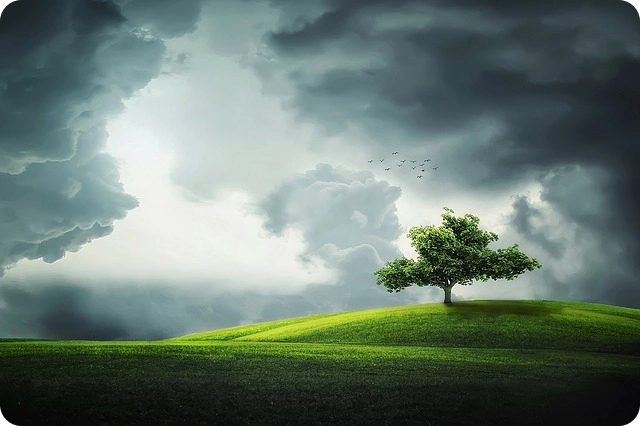 비 구름이 잔뜩 긴 밭